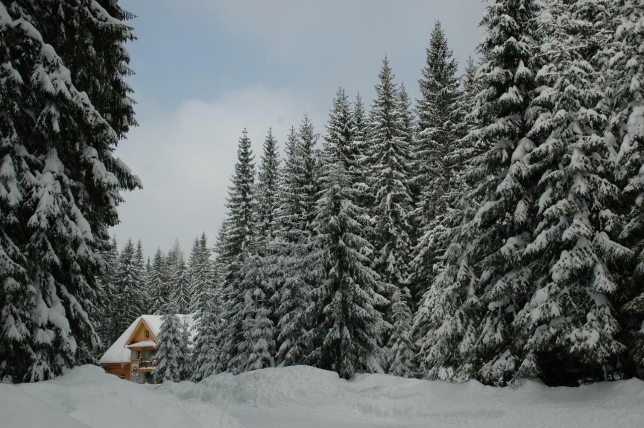 Penzion Sindlovec Oravice Exteriör bild